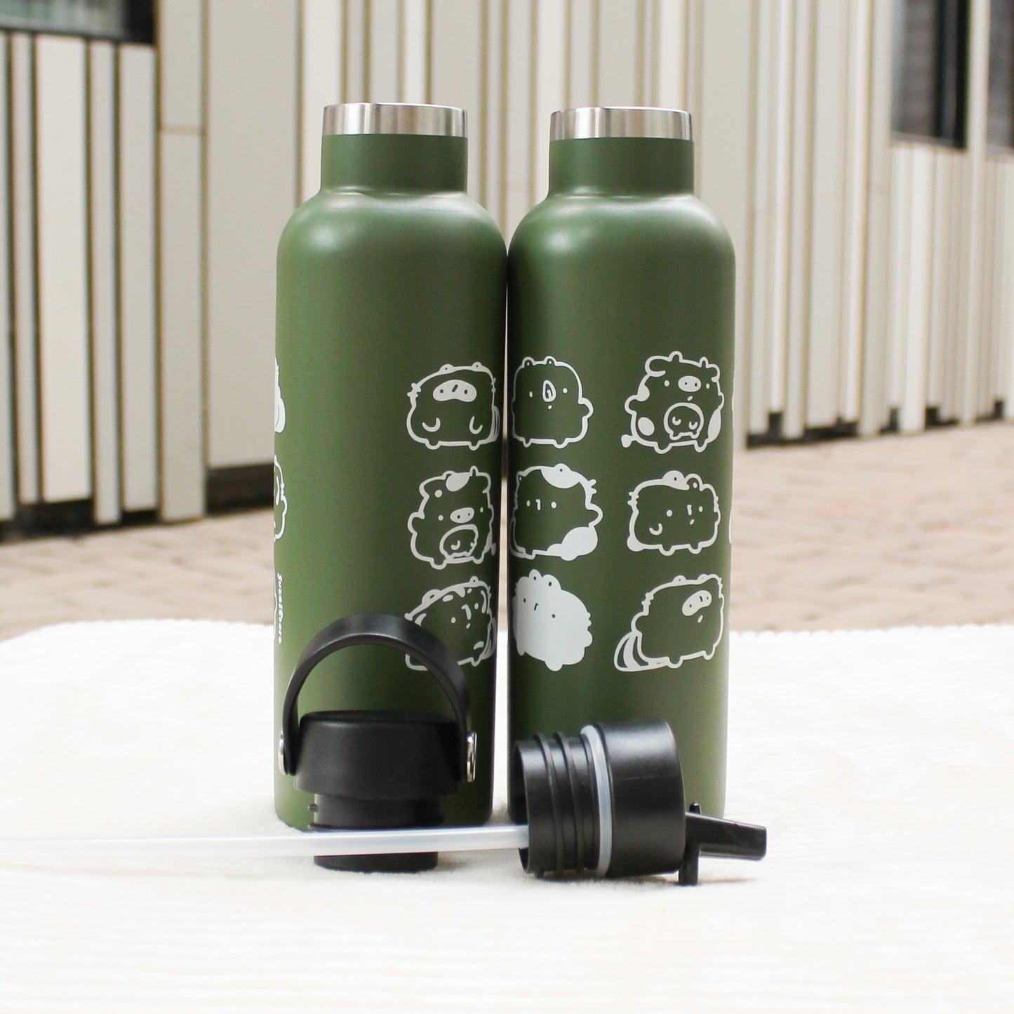 The Chonks | Insulated Drinking Bottle