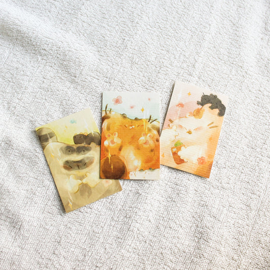 The Idols Photocards