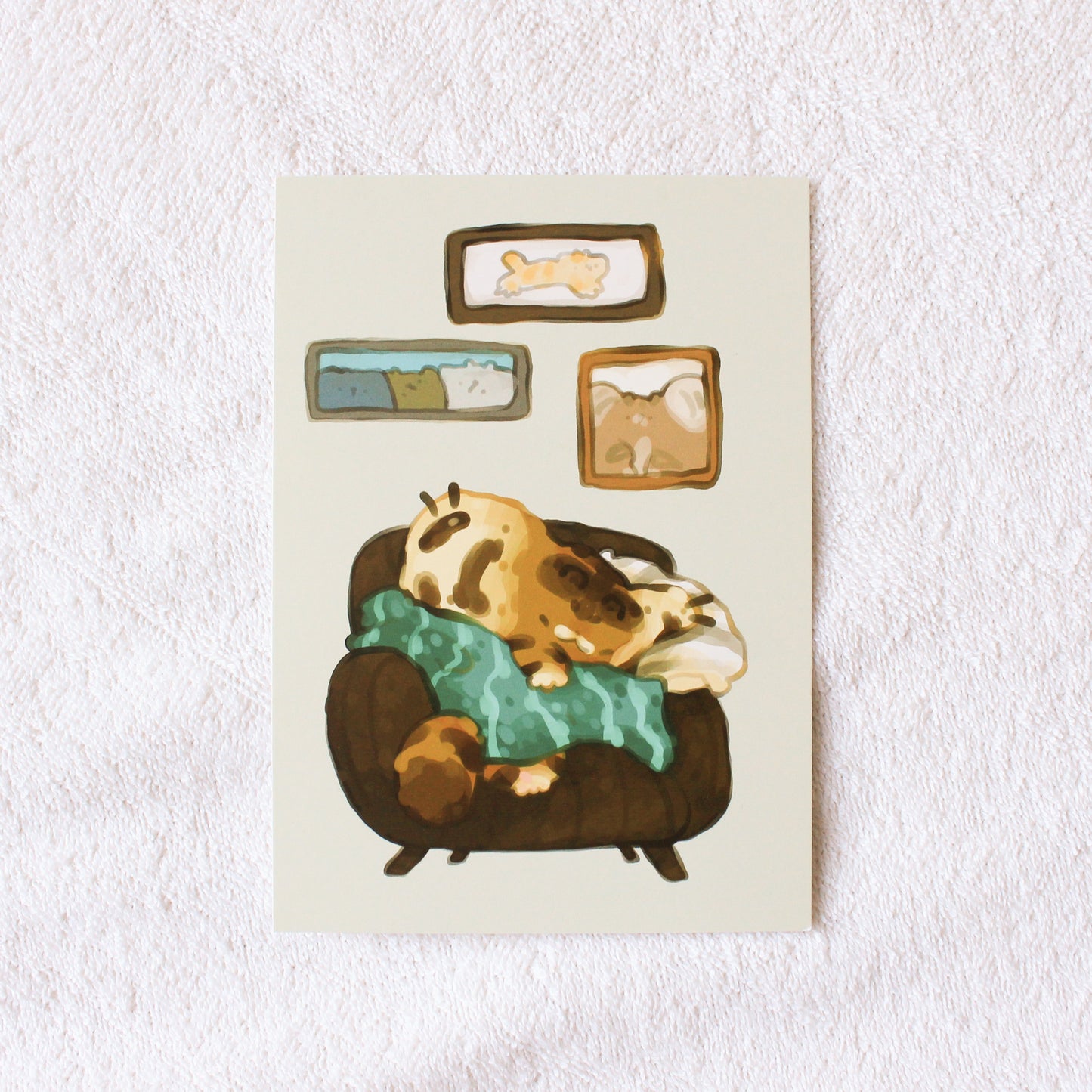 Cozy Brown Tiger Postcard