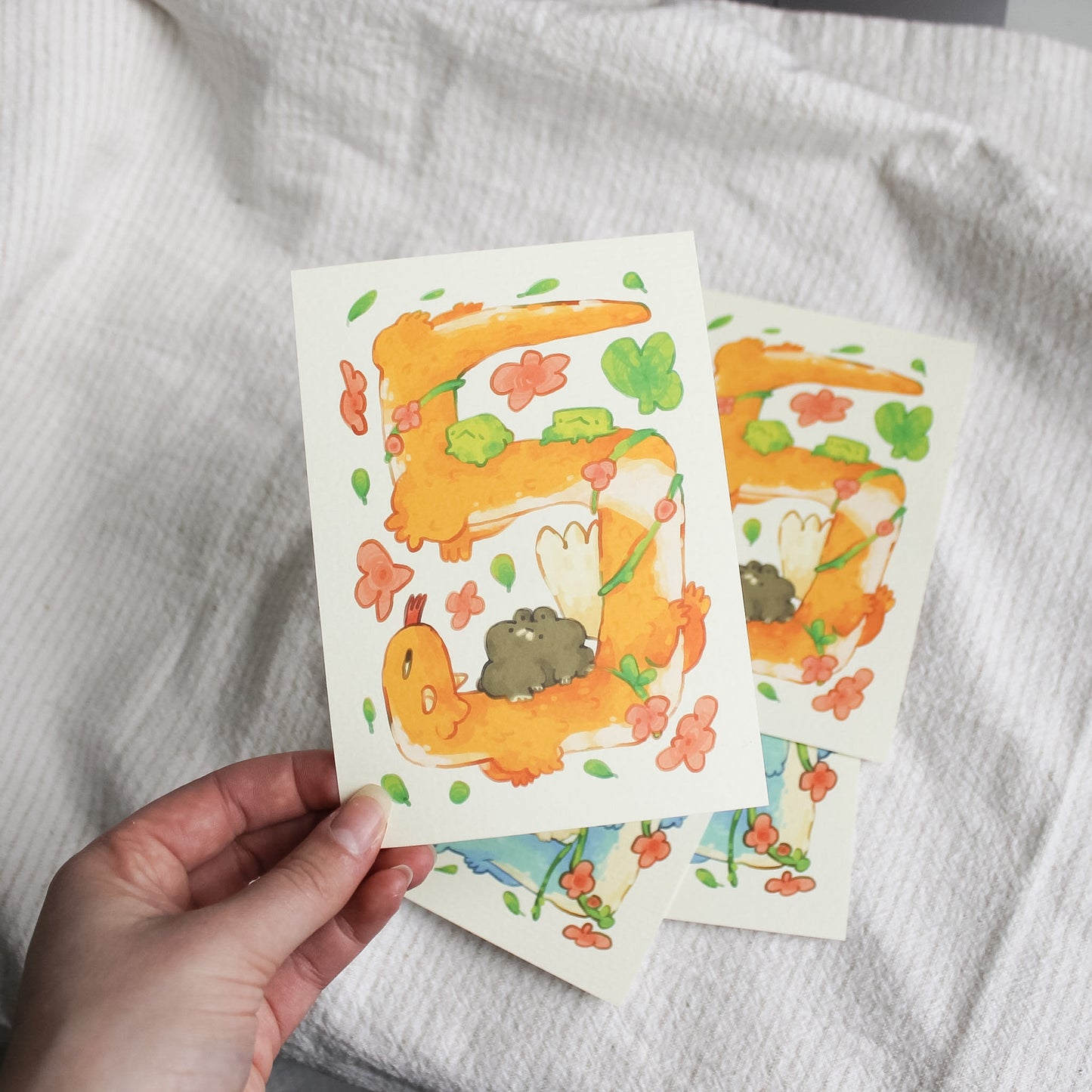The Dragons Postcards