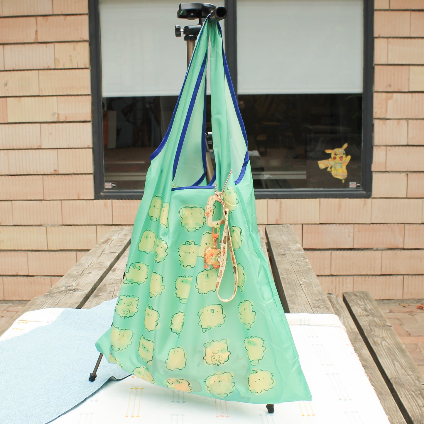Reusable Folding Baggy - The squares