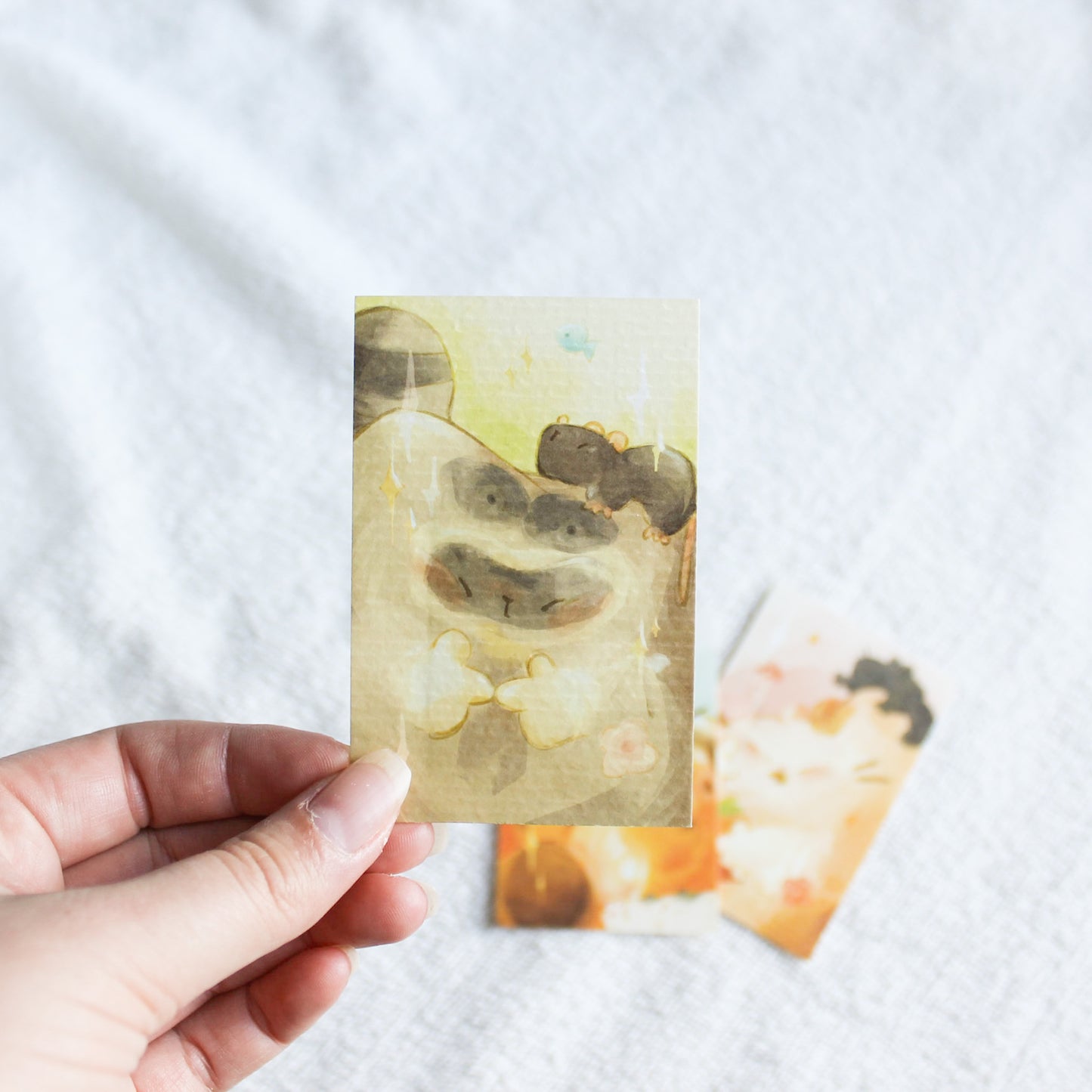 The Idols Photocards