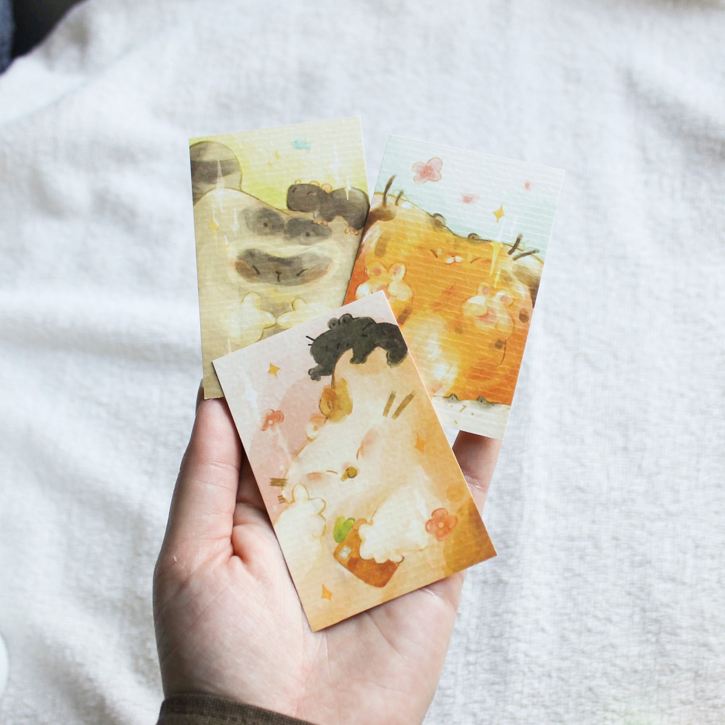 The Idols Photocards