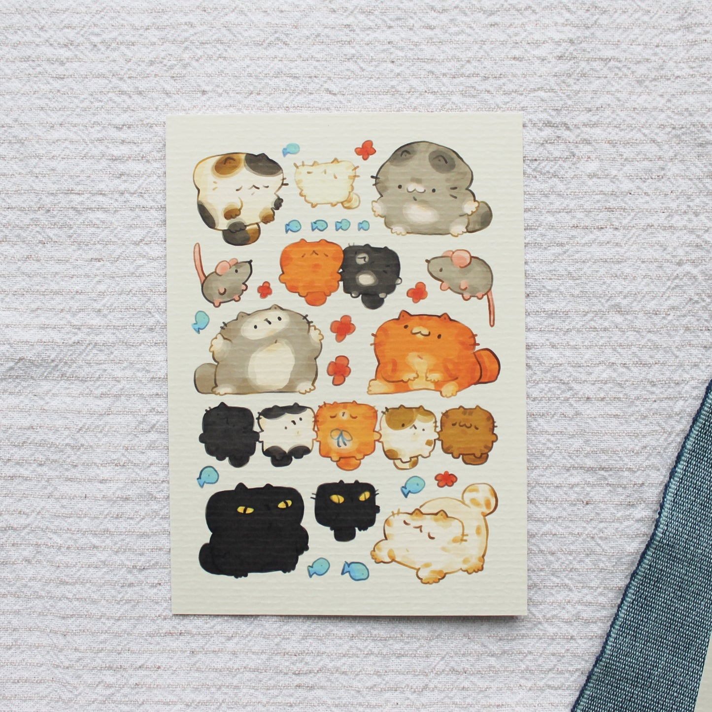 Kitties Postcard