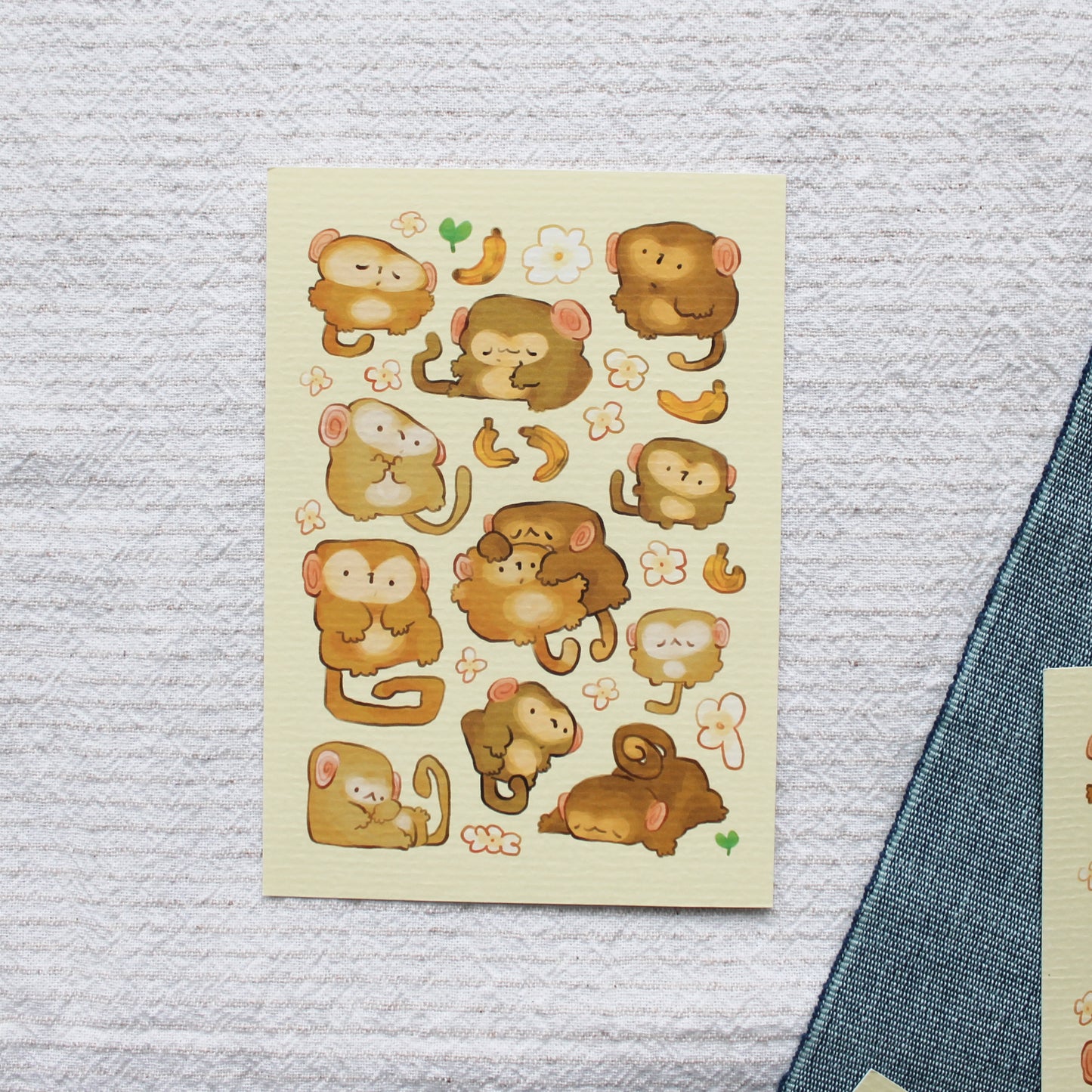 Monkey Postcard