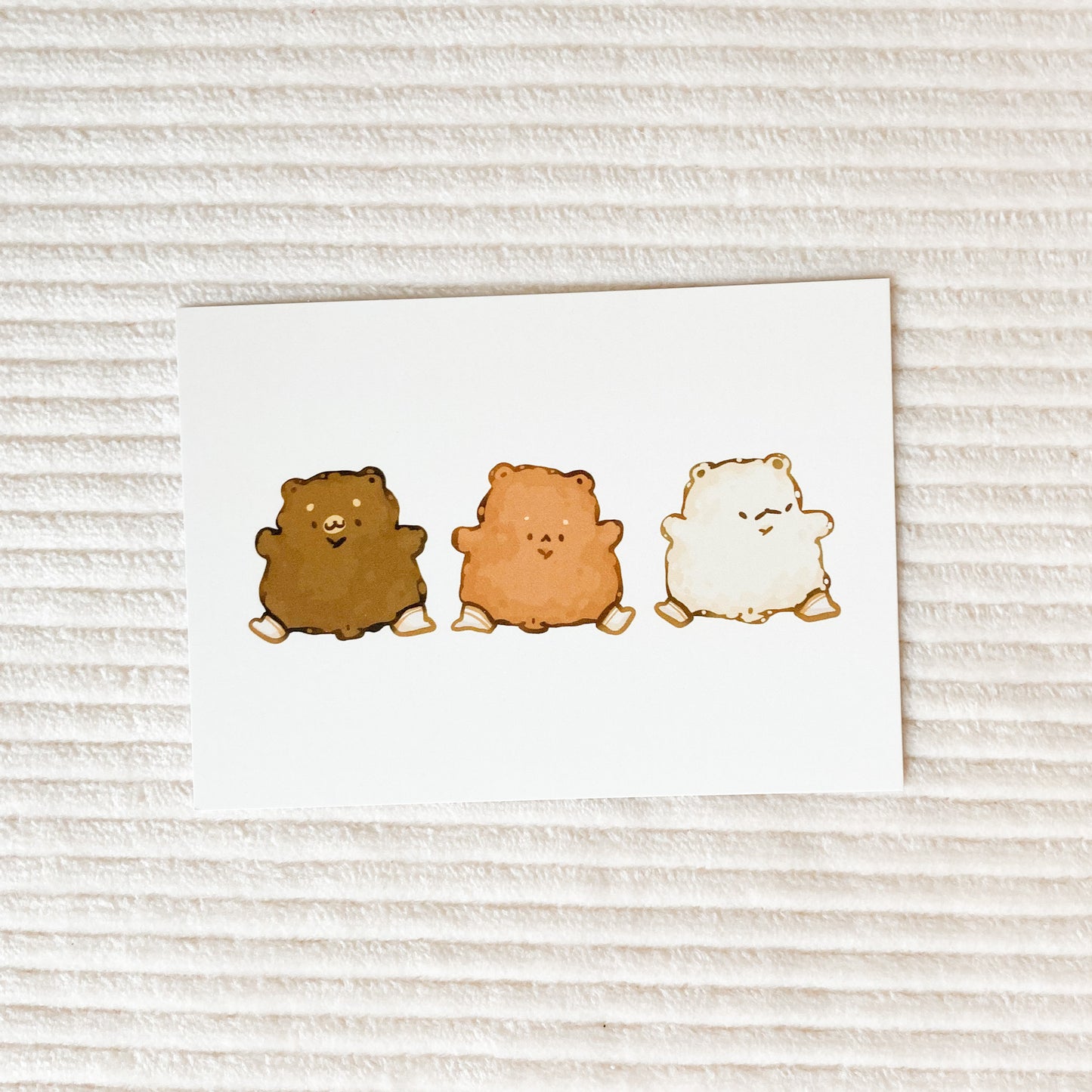 Socktastic Bears Postcard