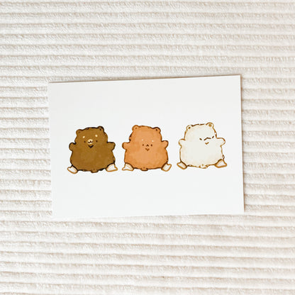 Socktastic Bears Postcard