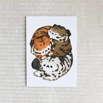 Chonky Tiger Postcard